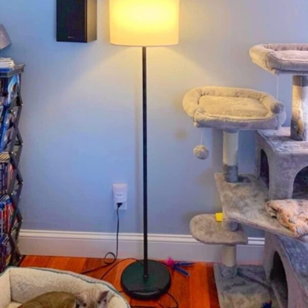 Iron Floor LAMP for Living Room Corner - 2