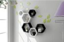 Wall Shelf for Living Room Stylish | Hexagonal Designer Wooden Shelves | Display Rack for Bedroom, Kitchen, Office (Set of 6| Color- Black & White) - 1