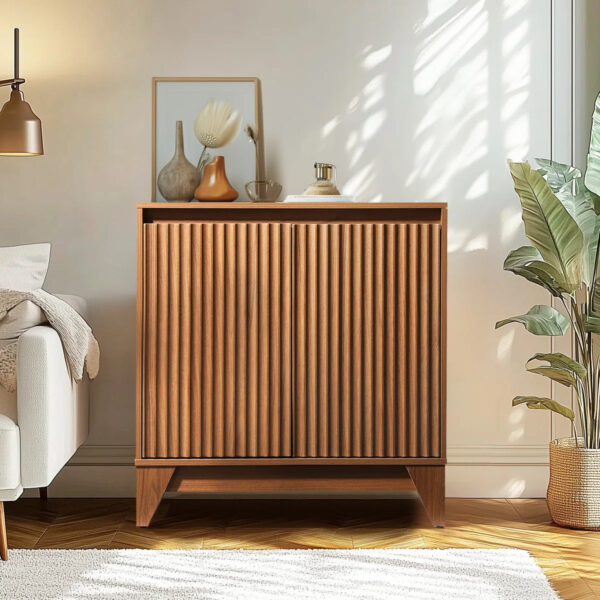 2 - Door Accent Cabinet With Adjustable Shelf - Variant 1